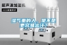濕氣重的人，是不是更容易出汗？