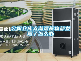 常見問題公司倉庫太潮濕貨物都發(fā)霉了怎么辦