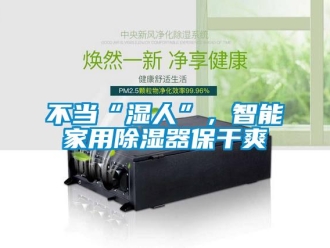 常見問題不當(dāng)“濕人”，智能家用除濕器保干爽