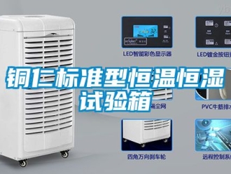 知識百科銅仁標(biāo)準(zhǔn)型恒溫恒濕試驗箱