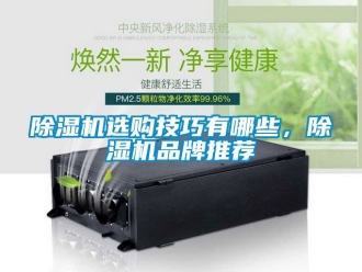 企業(yè)新聞除濕機(jī)選購(gòu)技巧有哪些，除濕機(jī)品牌推薦