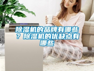企業(yè)新聞除濕機(jī)的品牌有哪些？除濕機(jī)的優(yōu)缺點(diǎn)有哪些